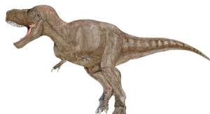 Tyrannosaurus rex 10 Spesies Hewan yang Menakjubkan yang telah Punah